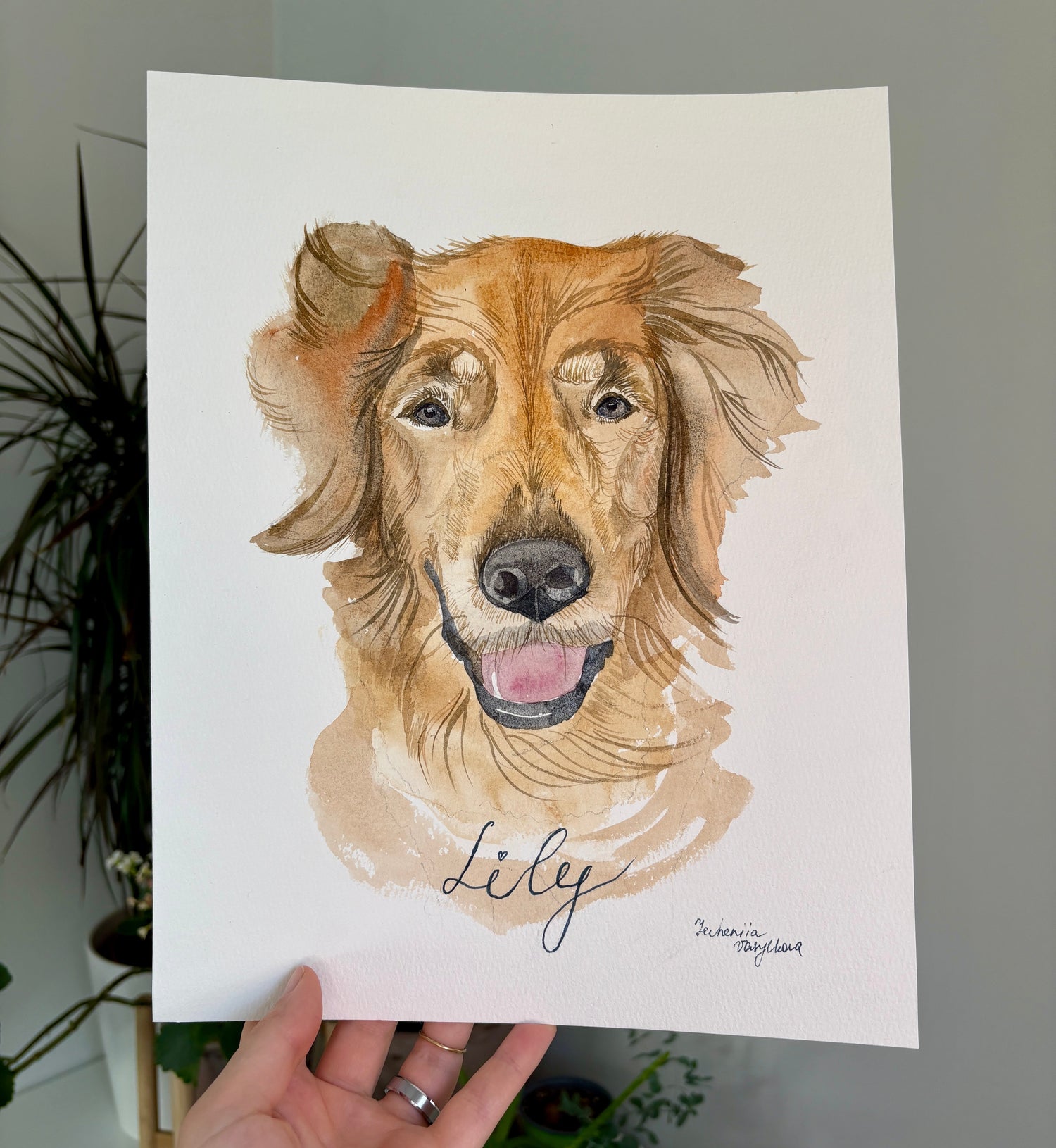 Commissions & Workshops