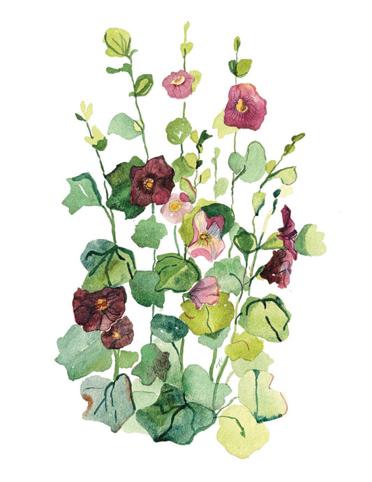 Hollyhocks 12x16 Print