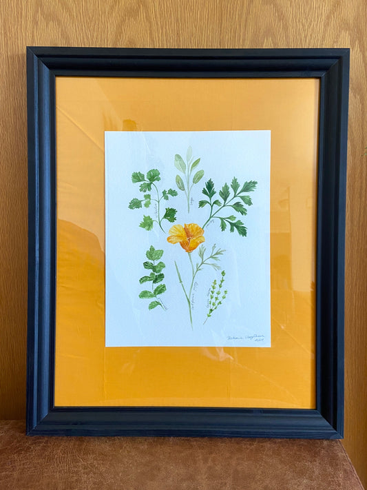 Summer Herbs