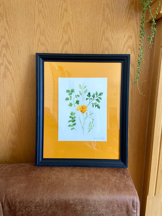 Summer Herbs