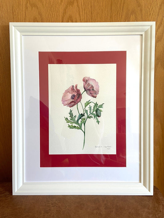 Poppy
