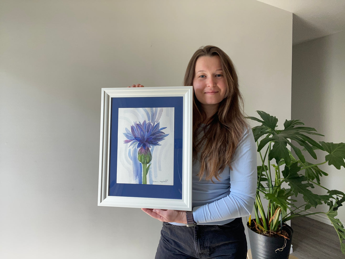 Cornflower