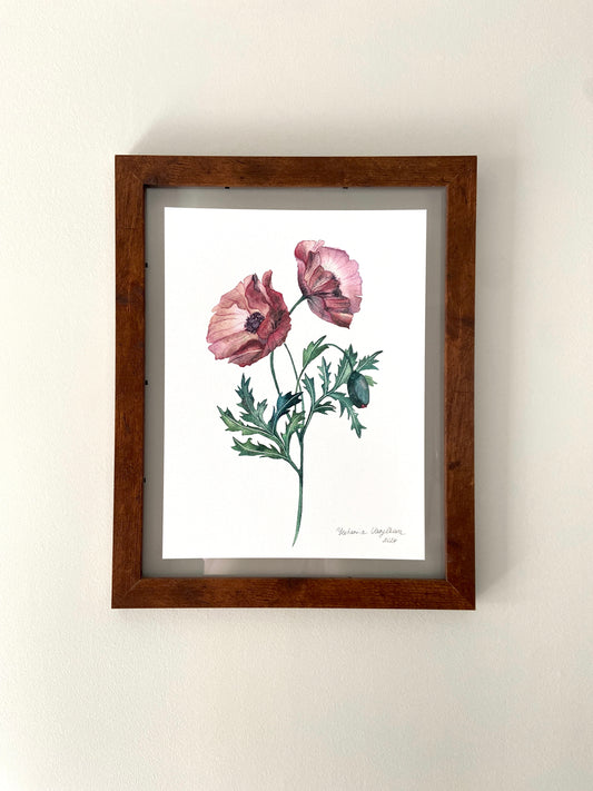 Poppy art print 9x12
