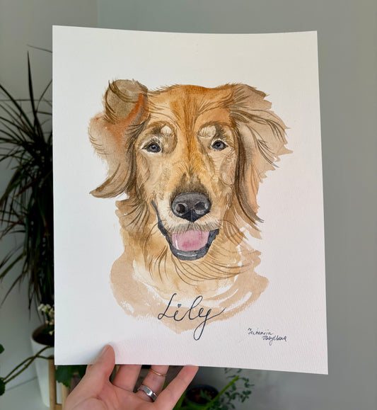 Pet portrait commission