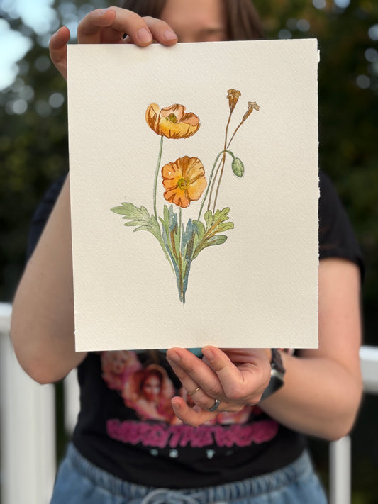'A gift of friendship'