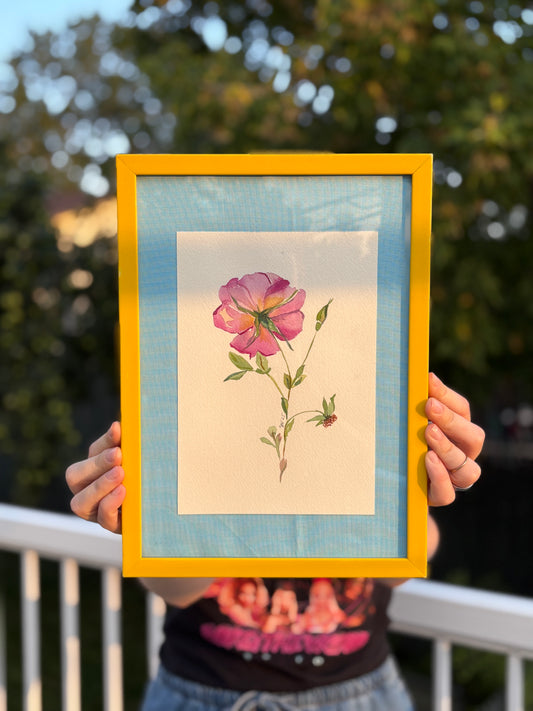 'My time to grow roses'