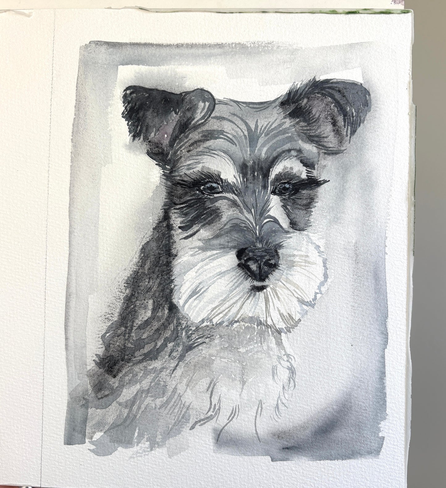 Pet portrait commission