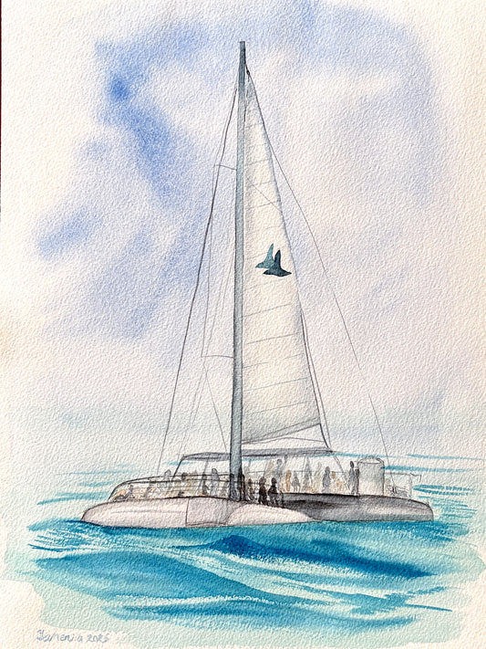 Catamaran to Saona Island