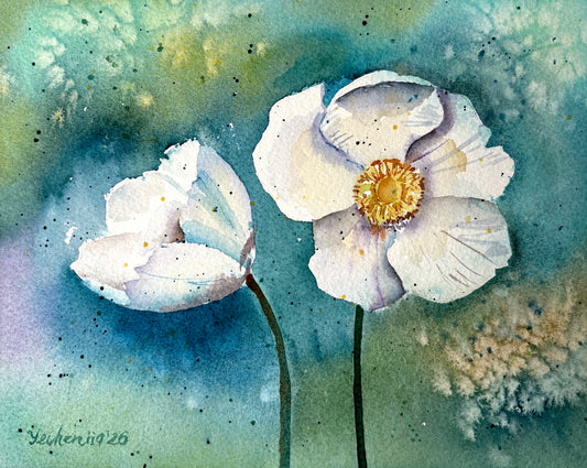 White Anemone